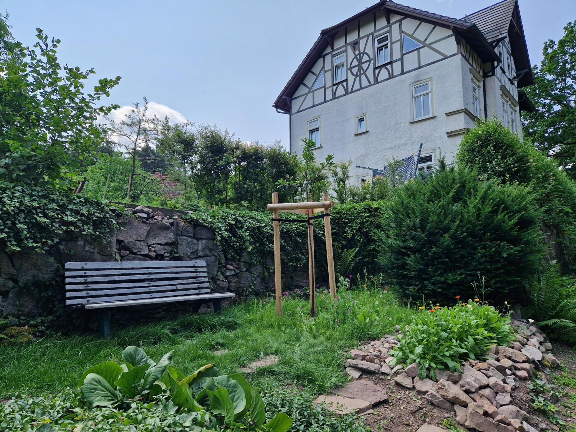 Ferienwohnung Im Logierhaus Villa Ihler Luisenthal المظهر الخارجي الصورة