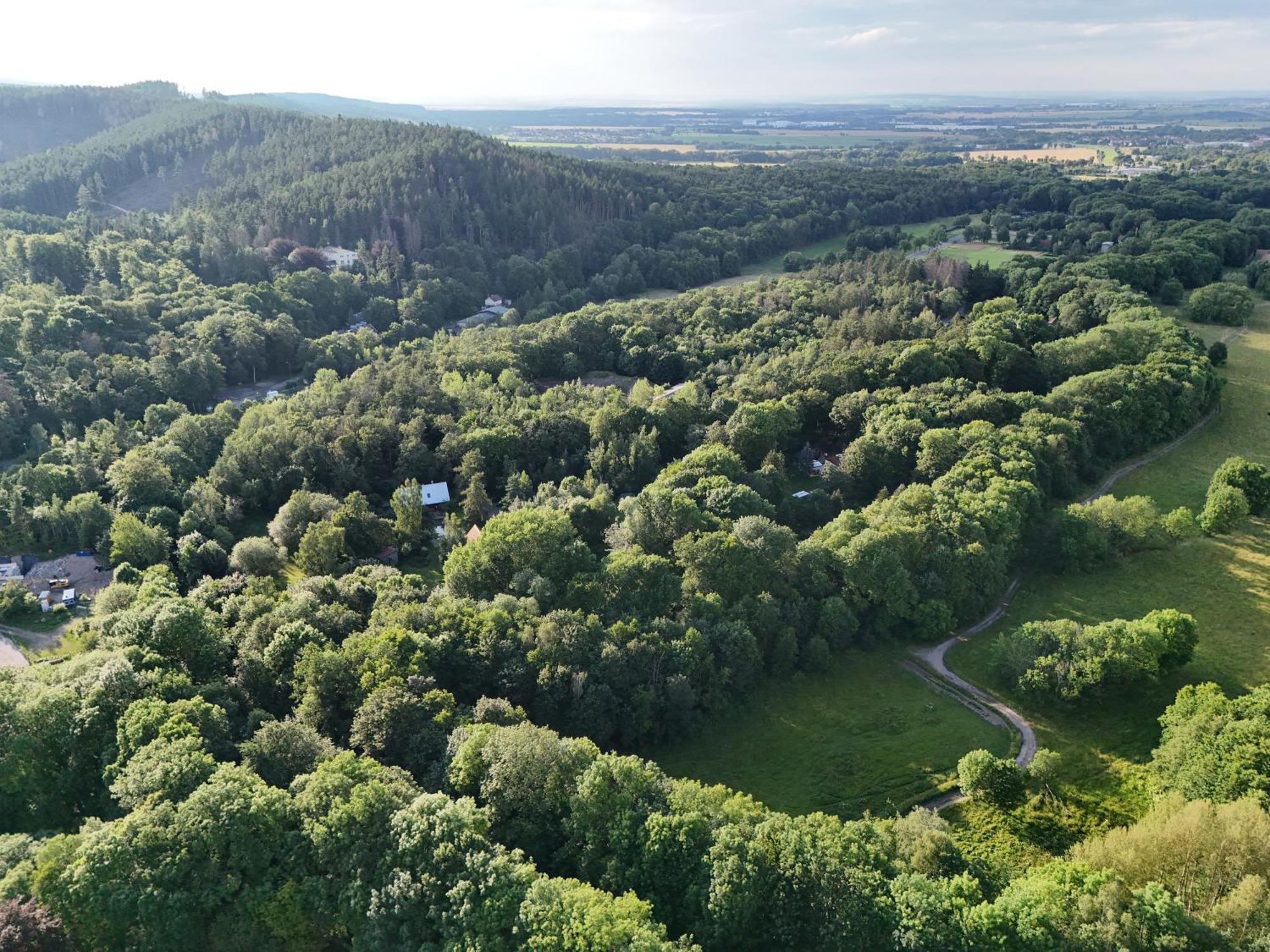 Ferienwohnung Im Logierhaus Villa Ihler Luisenthal المظهر الخارجي الصورة